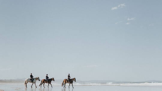 Byron Bay Forest to Beach Horse Trail Ride - 2 Hours