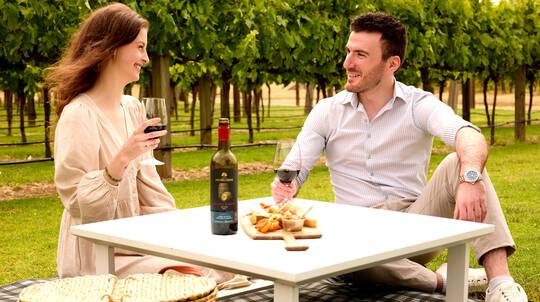 Barossa Valley Picnic with Food, Wine and Tasting - For 2