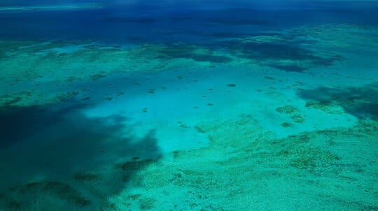 40 Minute Great Barrier Reef Scenic Flight - Cairns